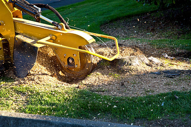 Mulching Services in Crow Agency, MT